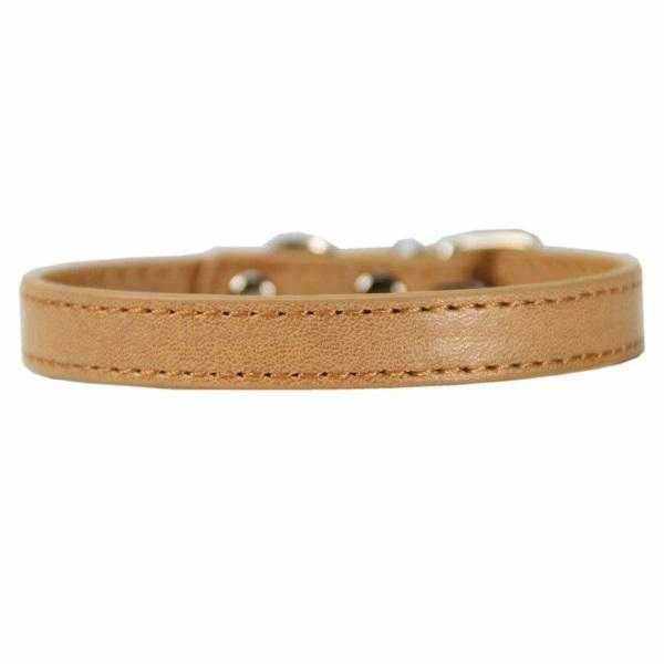 Buckle Dog Collar - Collars from . at DoggyTopia