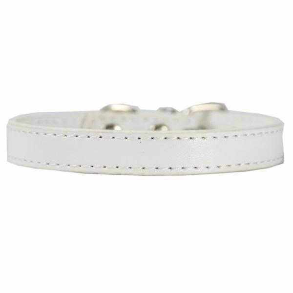 Buckle Dog Collar - Collars from . at DoggyTopia