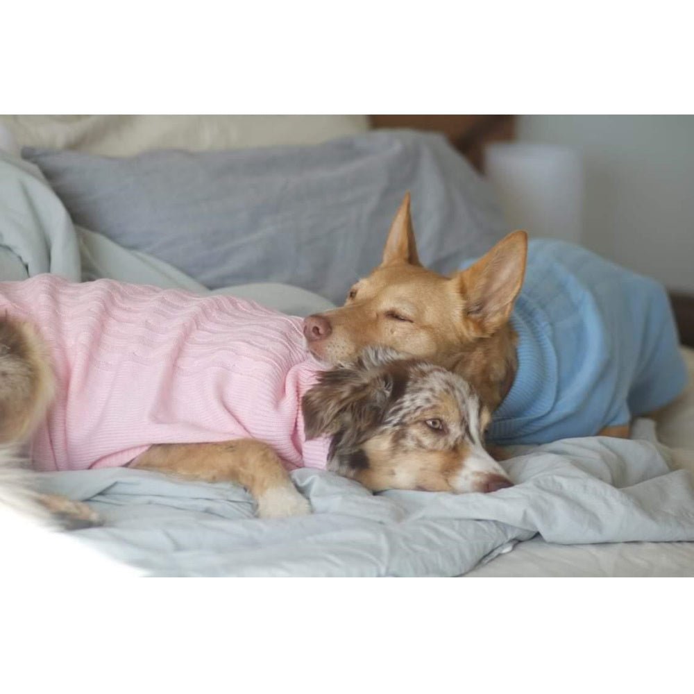 Cable Knit Jumper - Cornflower - Knit Jumpers from DoggyTopia at DoggyTopia