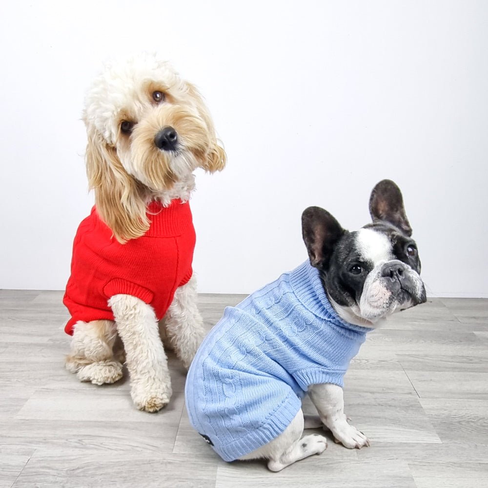 Cable Knit Jumper - Ruby - Knit Jumpers from Sale at DoggyTopia