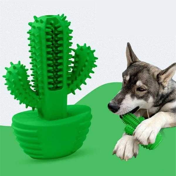Cactus Dental Enrichment Toy - Enrichment Toys from . at DoggyTopia