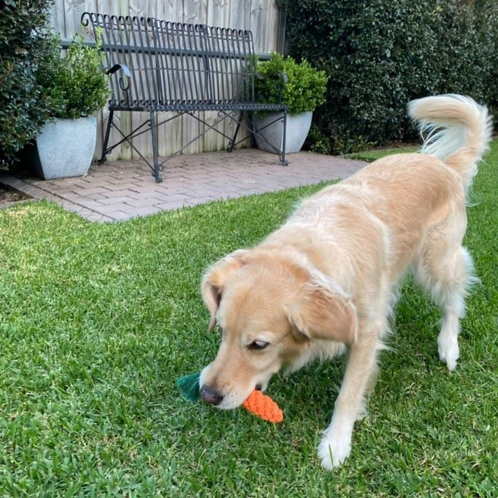 Carrot Rope Dog Toy - Rope Toys from . at DoggyTopia