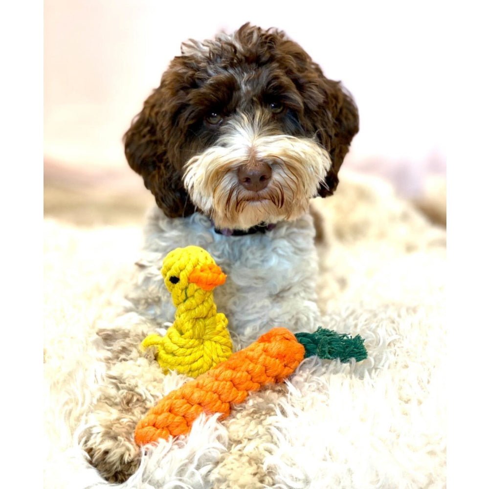 Carrot Rope Dog Toy - Rope Toys from . at DoggyTopia