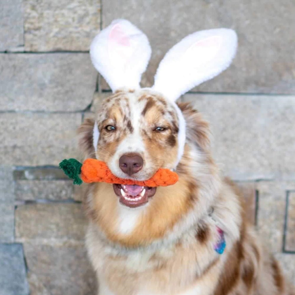 Carrot Rope Dog Toy - Rope Toys from . at DoggyTopia