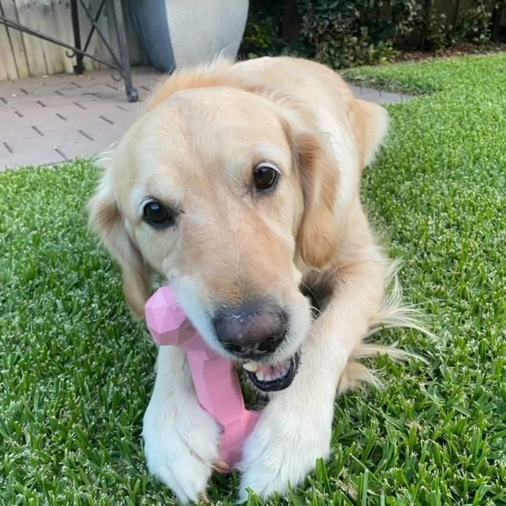 Diamond Rubber Bone - Enrichment Toys from . at DoggyTopia