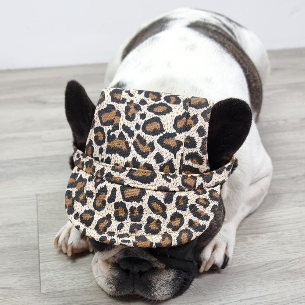 Dog Cap - Leopard - Dog Hats from Sale at DoggyTopia