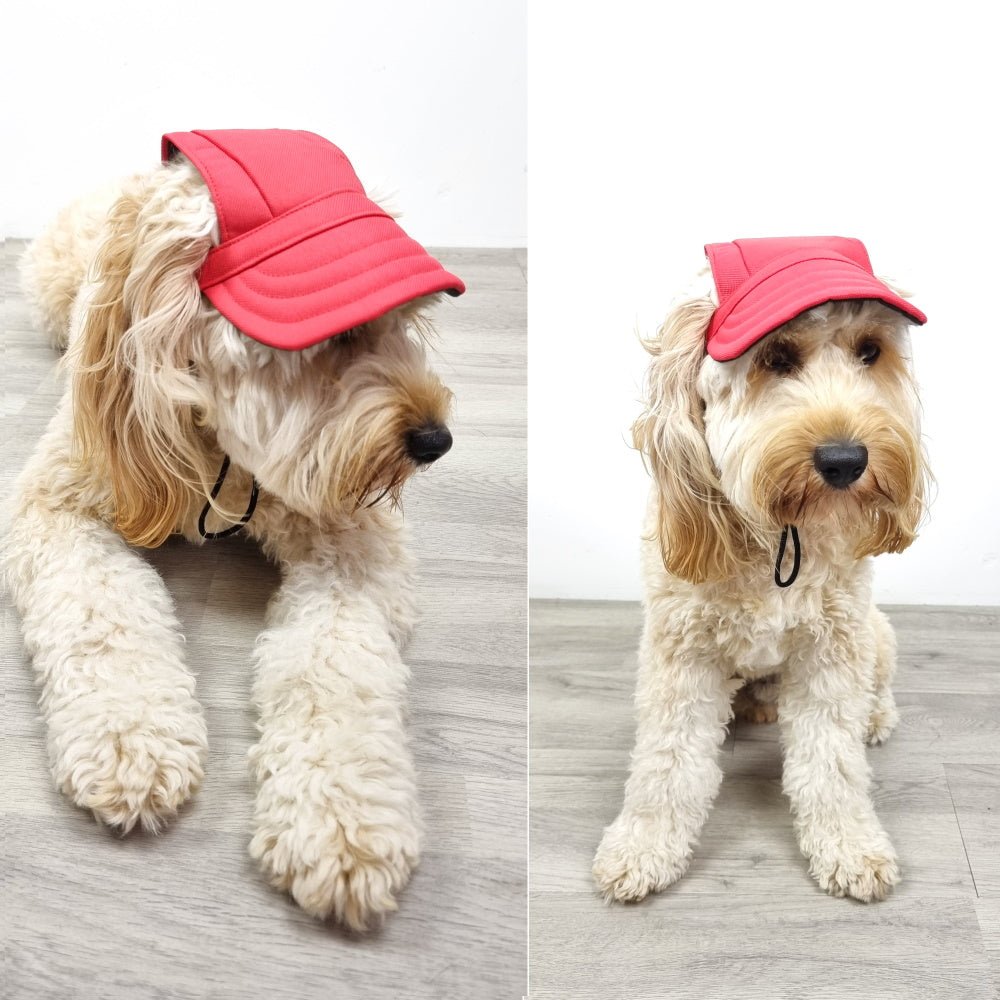 Dog Cap - Red - Dog Hats from . at DoggyTopia