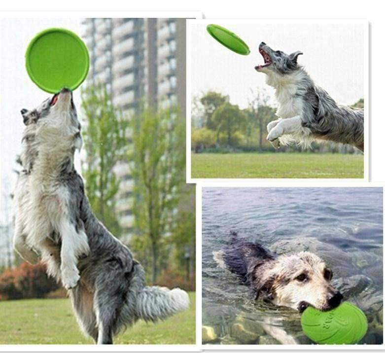 Dog - O - Soar Frisbee - Interactive Toys from . at DoggyTopia