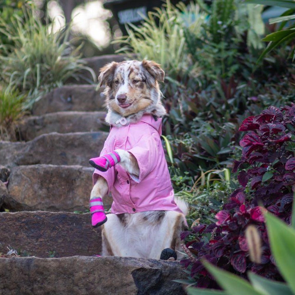 Dog Raincoat - Pink - Raincoats from . at DoggyTopia