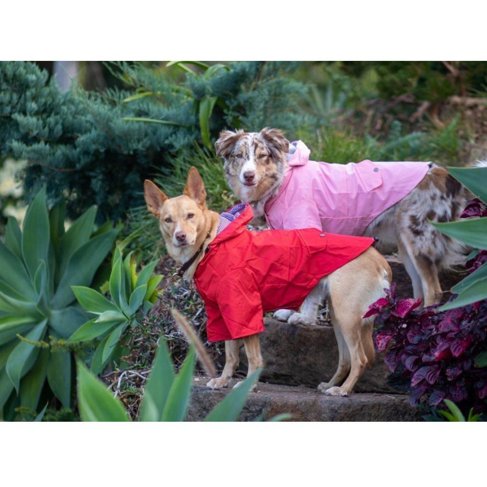 Dog Raincoat - Pink - Raincoats from . at DoggyTopia