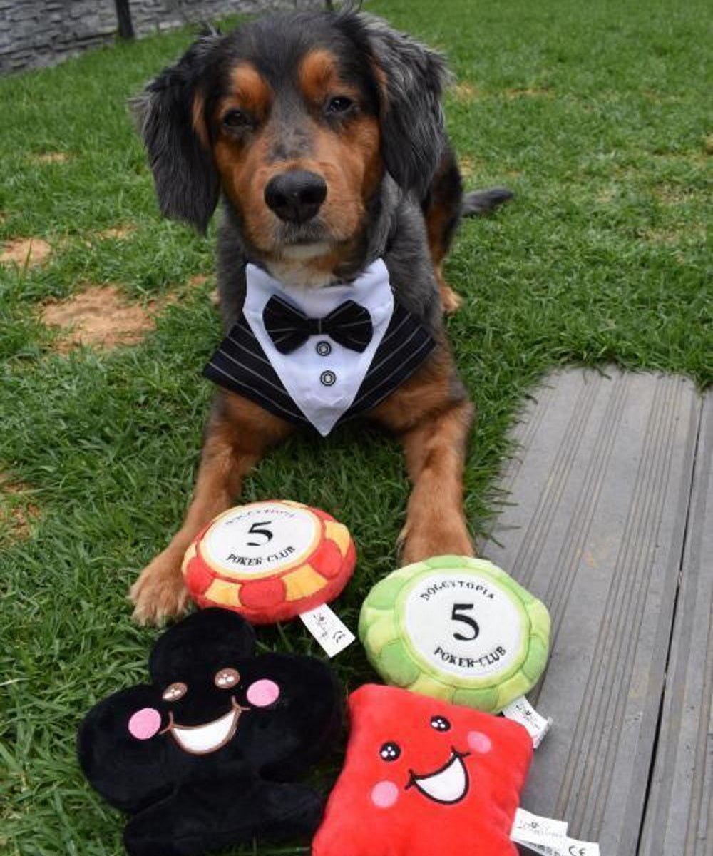 DoggyTopia Poker Club - Club Dog Toy - Plush Toys from Sale at DoggyTopia