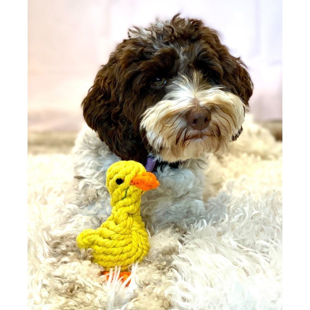 Duck Rope Dog Toy - Rope Toys from . at DoggyTopia