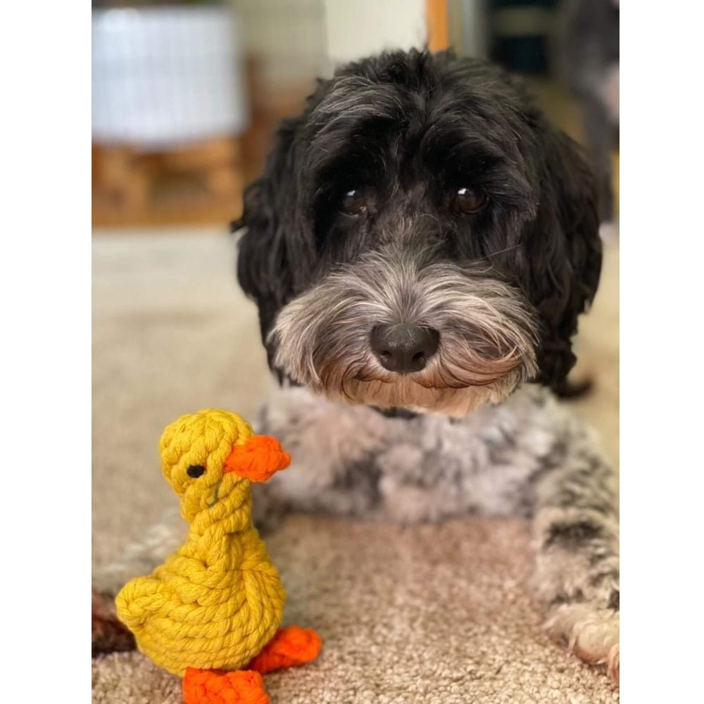 Duck Rope Dog Toy - Rope Toys from . at DoggyTopia