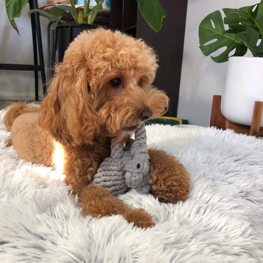 Elephant Rope Dog Toy - Rope Toys from . at DoggyTopia