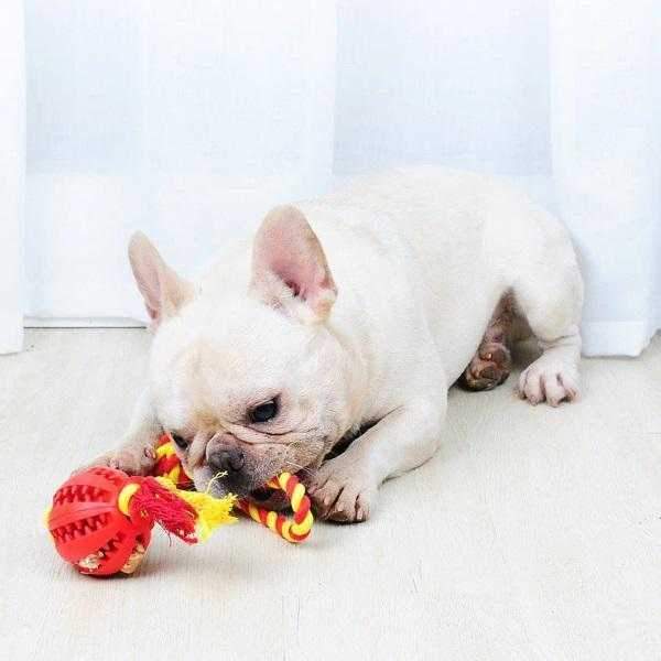 Enrichment Treat Ball & Rope - Rope & Tug Toy from . at DoggyTopia