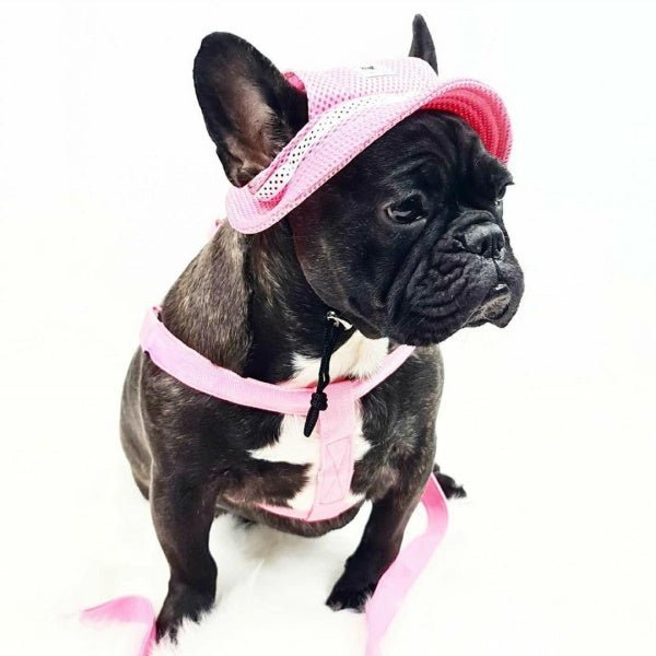 Full Brim Dog Sun Hat Pink - Dog Sun Hat from . at DoggyTopia