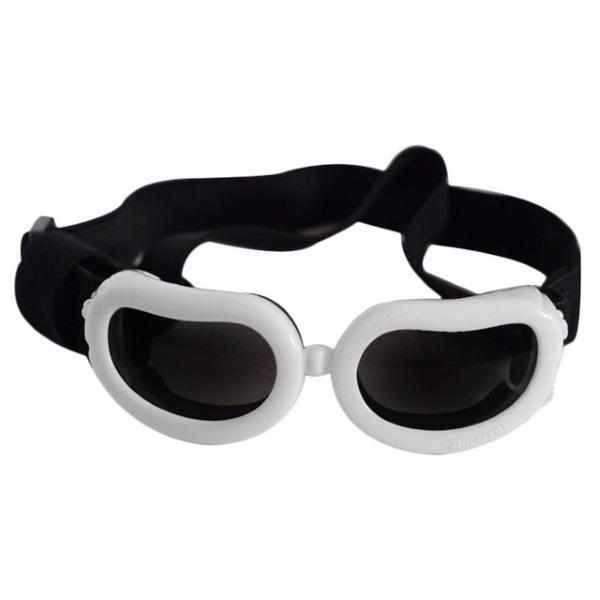 Jelly Bean Dog Goggles - Dog Goggles from . at DoggyTopia