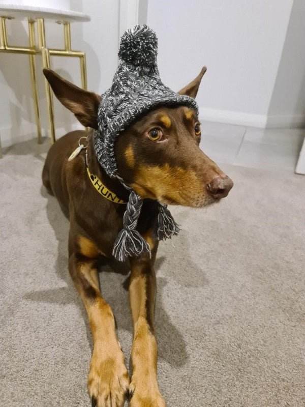 Knitted Dog Beanie - Grey - Beanies from Sale at DoggyTopia