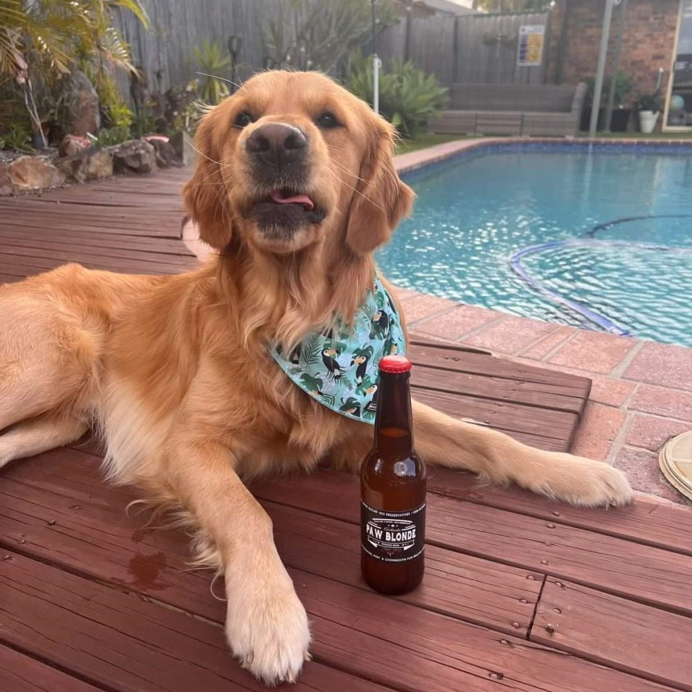 L'Barkery Paw Blonde Bottle - Beverages from L'Barkery at DoggyTopia