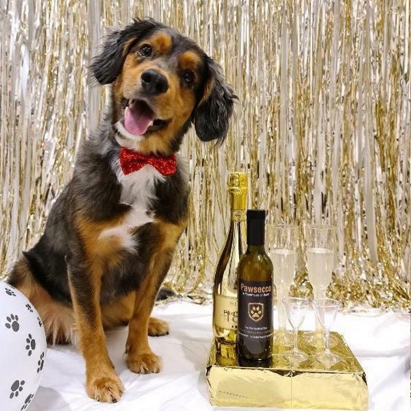 L'Barkery Pawsecco Sparkling Wine Bottle - Beverages from L'Barkery at DoggyTopia