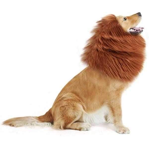 Lion Mane Dog Costume - Medium to Large Dogs - Costumes from Halloween at DoggyTopia