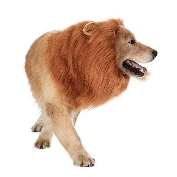 Lion Mane Dog Costume - Medium to Large Dogs - Costumes from Halloween at DoggyTopia