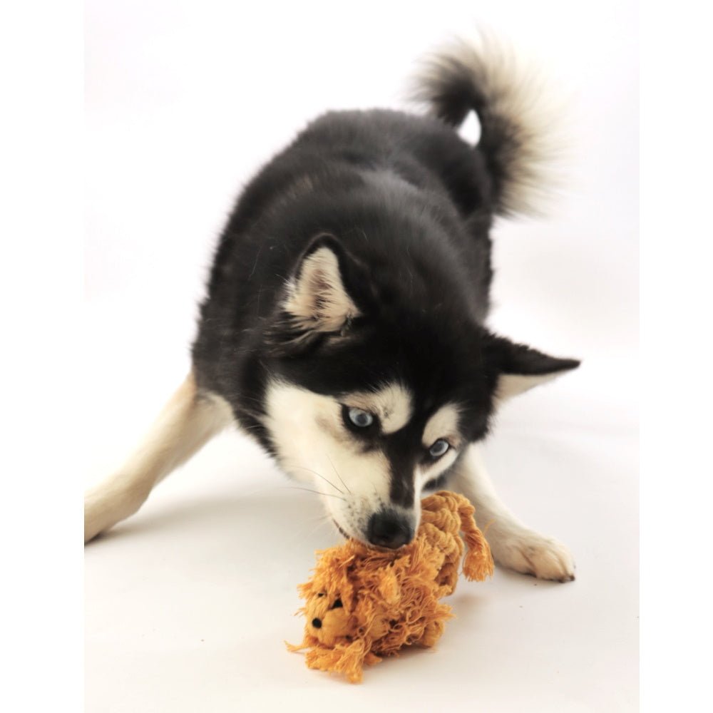 Lion Rope Dog Toy - Rope Toys from . at DoggyTopia