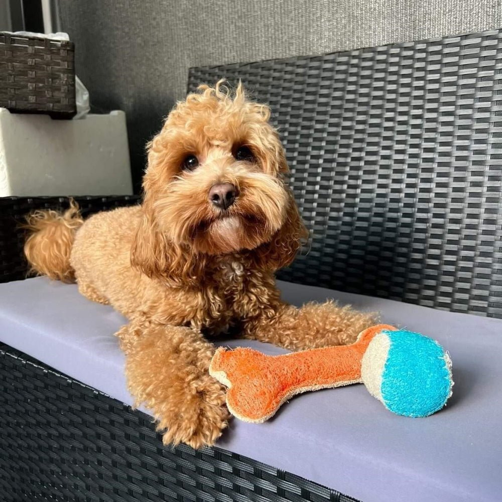 Loofah Ball Dental Toy - Large - Dental Toys from . at DoggyTopia