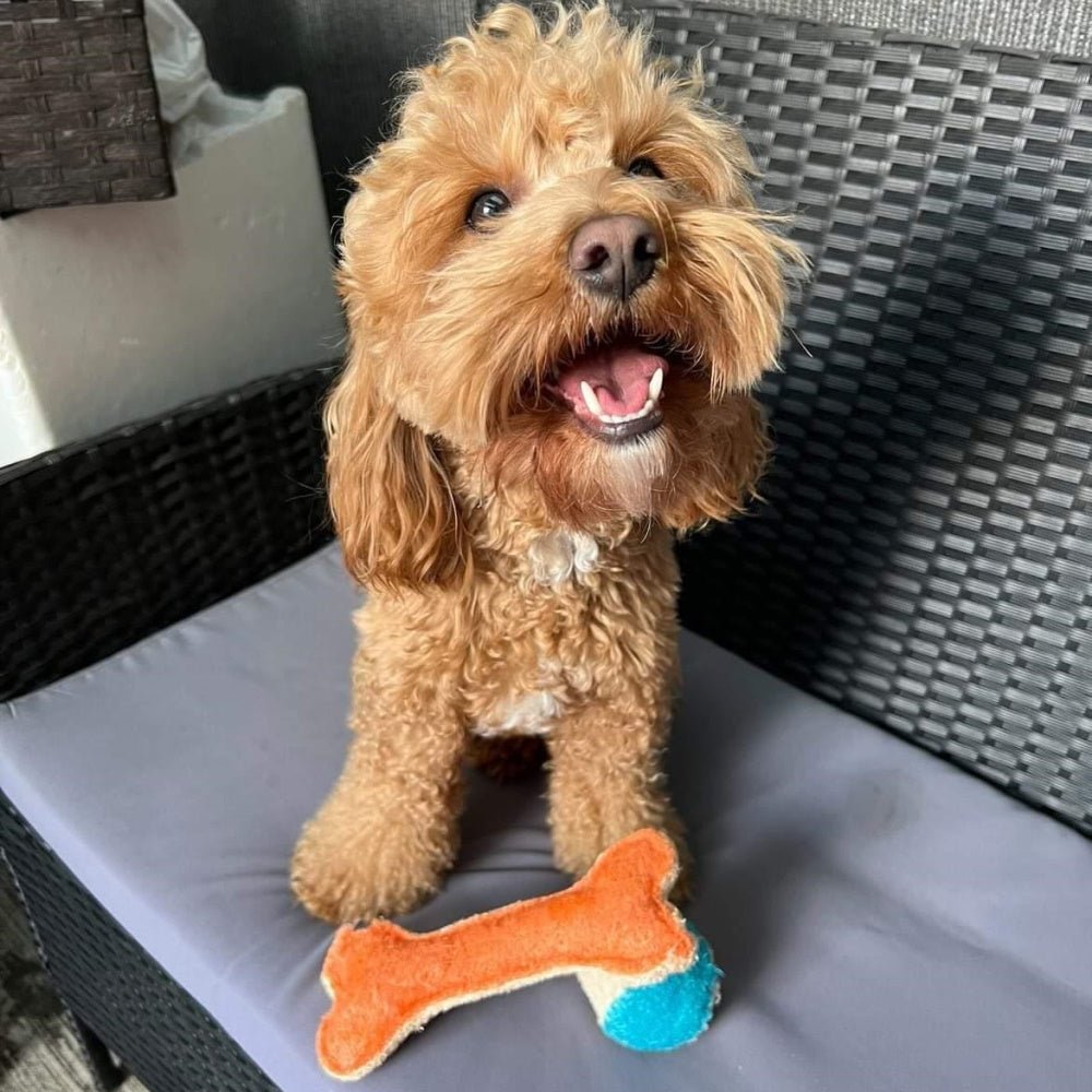 Loofah Bone Dental Toy - Medium - Dental Toys from . at DoggyTopia