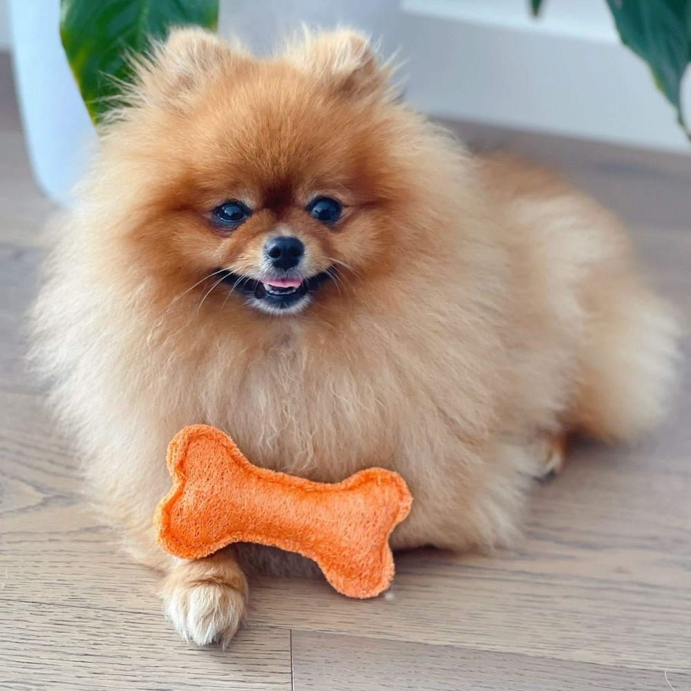 Loofah Bone Dental Toy - Small - Dental Toys from . at DoggyTopia