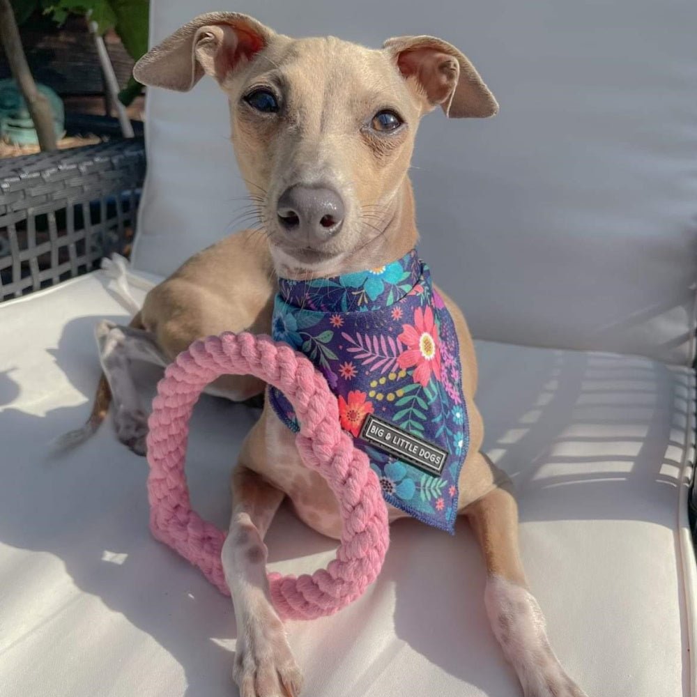Love Heart Rope Dog Toy - Rope Toys from . at DoggyTopia