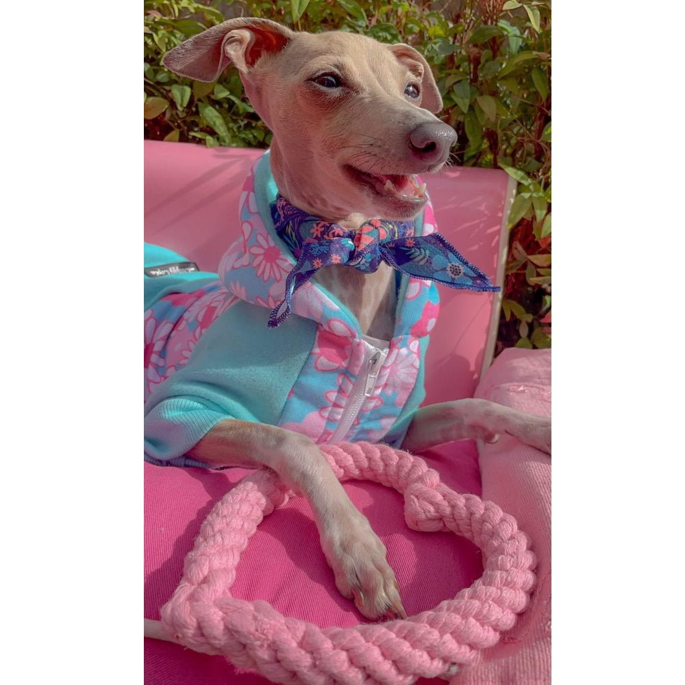 Love Heart Rope Dog Toy - Rope Toys from . at DoggyTopia