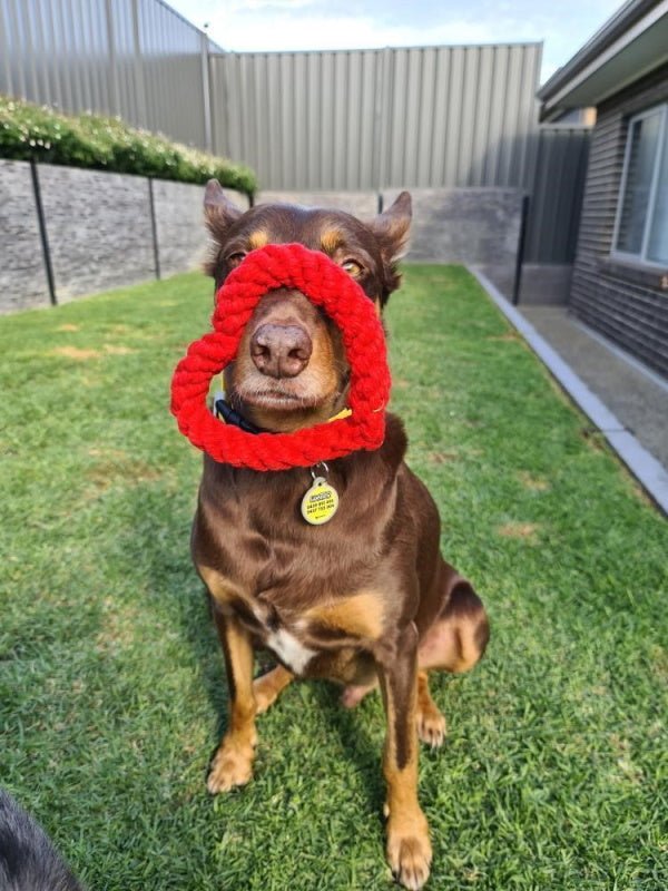 Love Heart Rope Dog Toy - Rope Toys from . at DoggyTopia