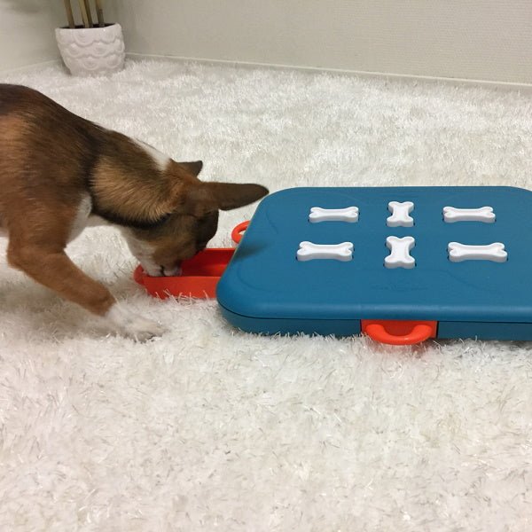 Nina Ottosson - Dog Casino - Puzzles from Nina Ottosson at DoggyTopia