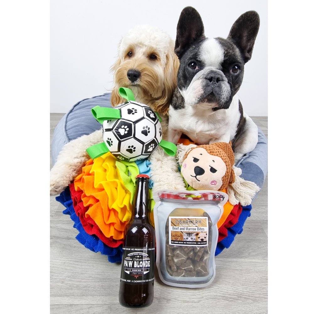 Over The Rainbow Snuffle Mat - Snuffle Mats from . at DoggyTopia