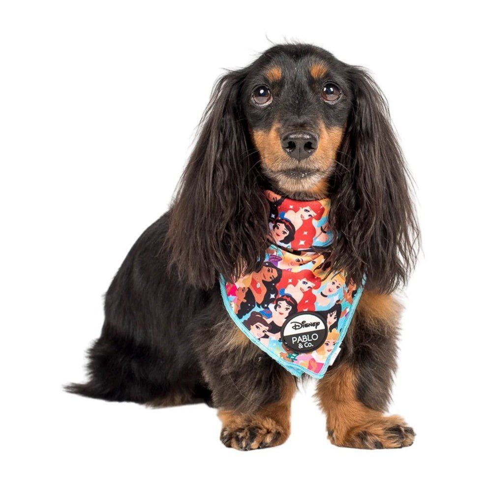 Pablo & Co Disney Princesses: Bandana - Bandanas from Sale at DoggyTopia