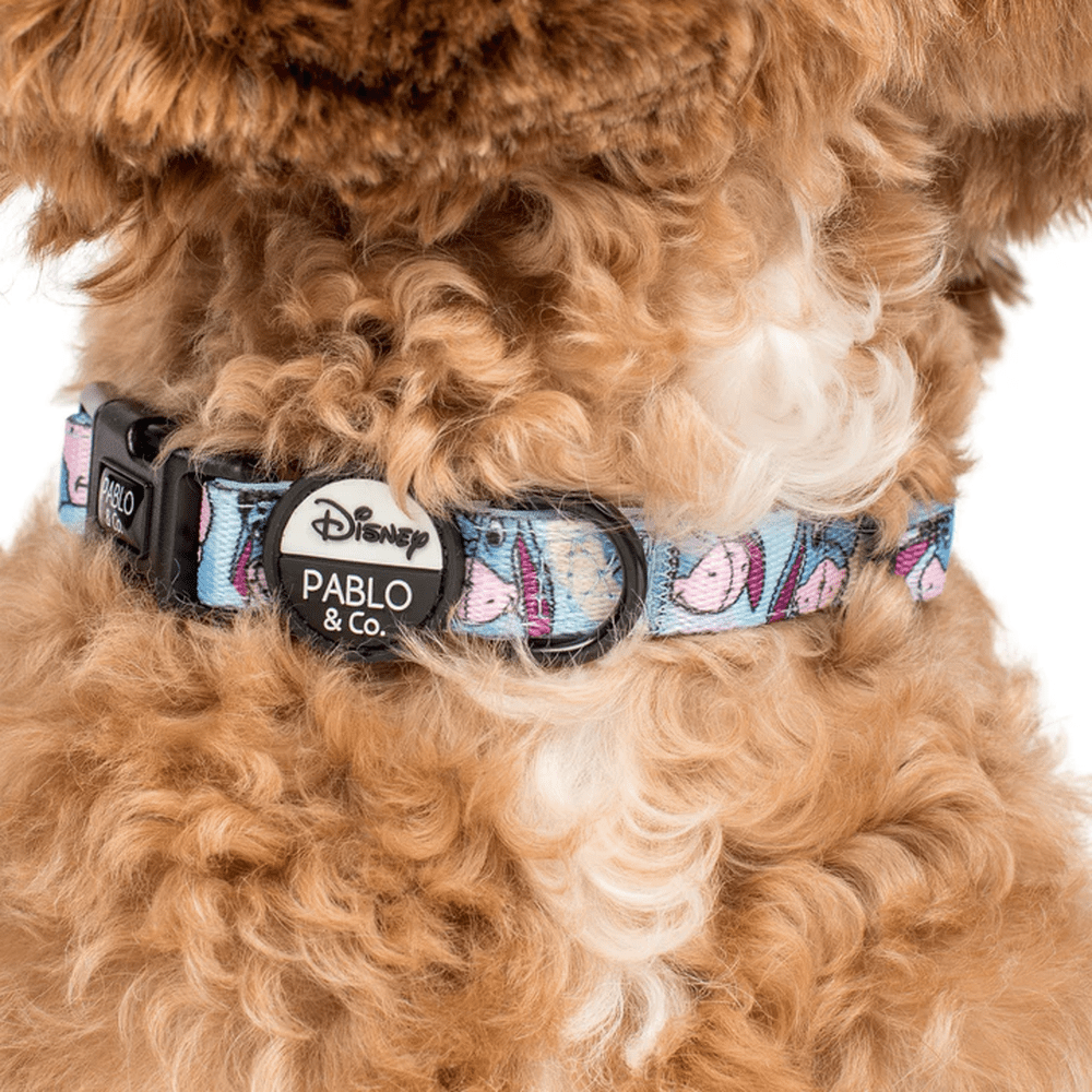 Pablo & Co Eeyore: Dog Collar - Collars from Pablo & Co Disney at DoggyTopia