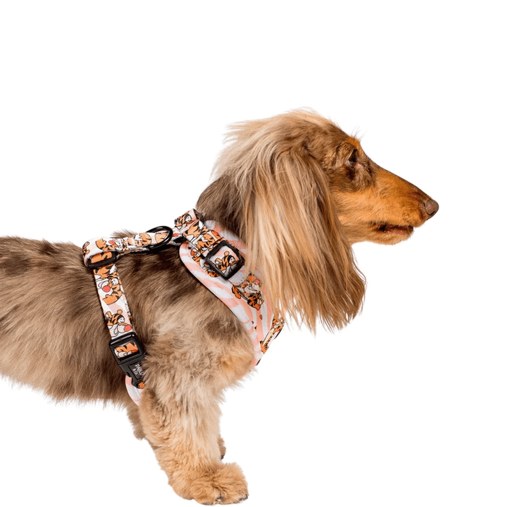 Pablo & Co One of a Kind Tigger: Adjustable Harness - Adjustable Harnesses from Pablo & Co Disney at DoggyTopia