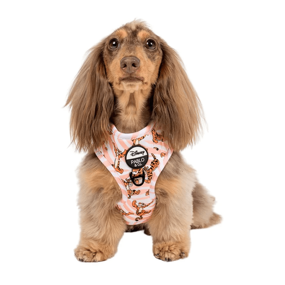 Pablo & Co One of a Kind Tigger: Adjustable Harness - Adjustable Harnesses from Pablo & Co Disney at DoggyTopia