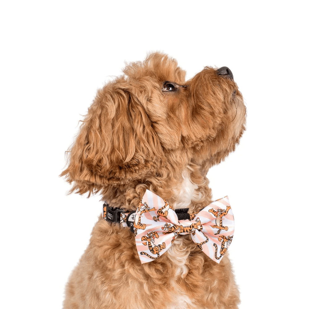 Pablo & Co One of a Kind Tigger: Bow Tie - Bow Ties from Pablo & Co Disney at DoggyTopia