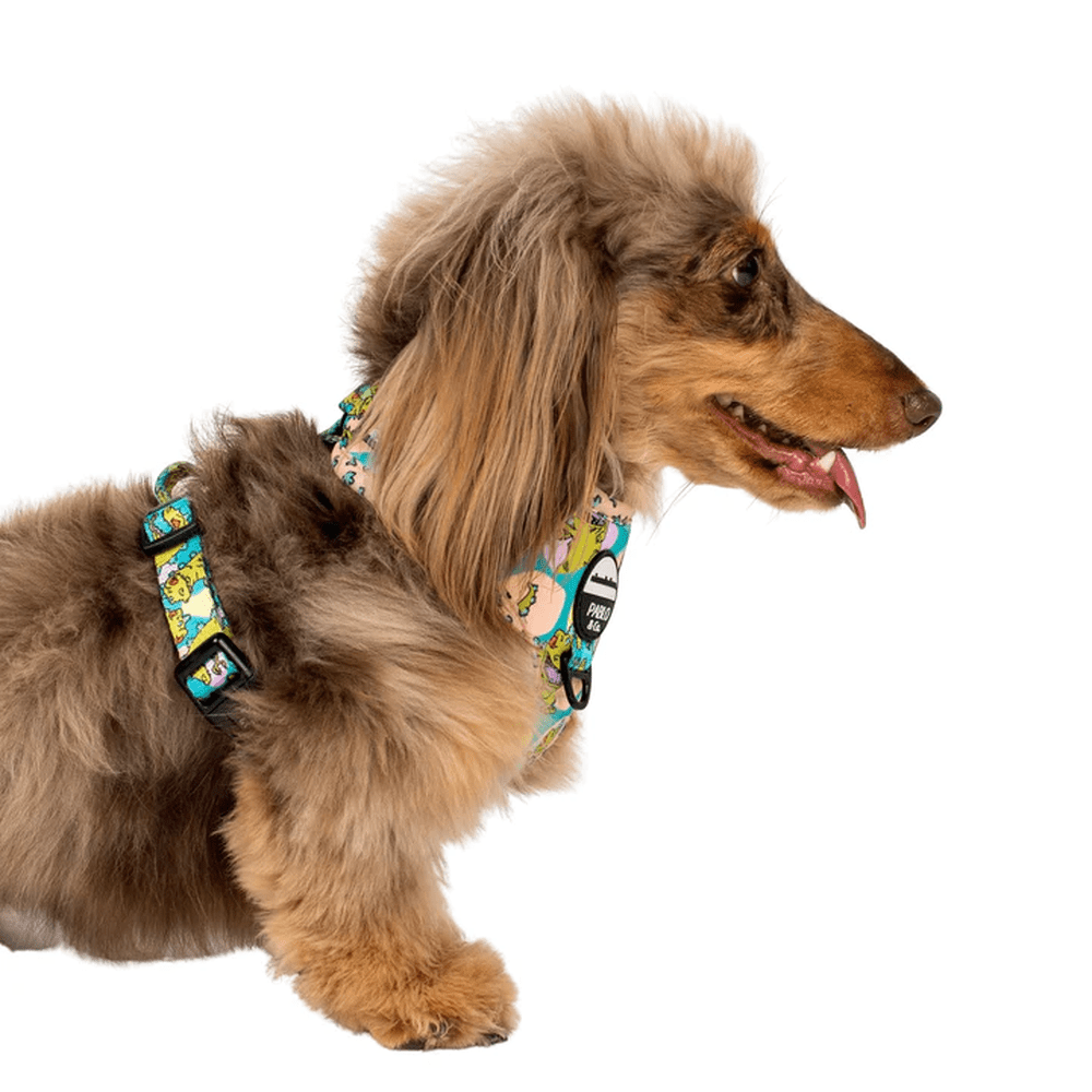 Pablo & Co Reptar: Adjustable Harness - Adjustable Harnesses from Sale at DoggyTopia
