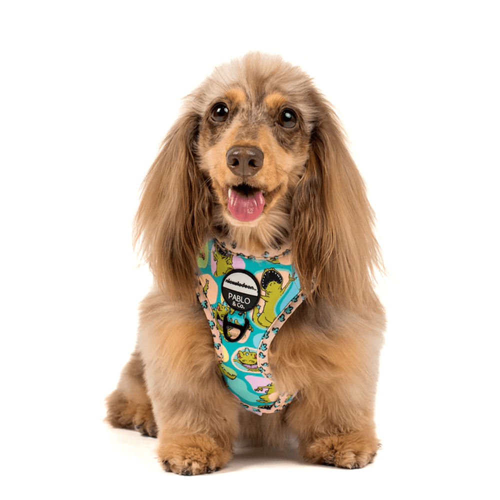 Pablo & Co Reptar: Adjustable Harness - Adjustable Harnesses from Sale at DoggyTopia
