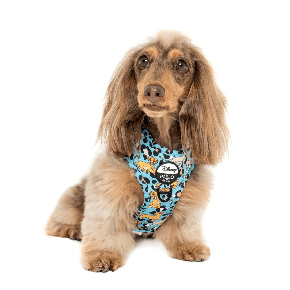 Pablo & Co The Lion King: Adjustable Harness - Adjustable Harnesses from Pablo & Co Disney at DoggyTopia