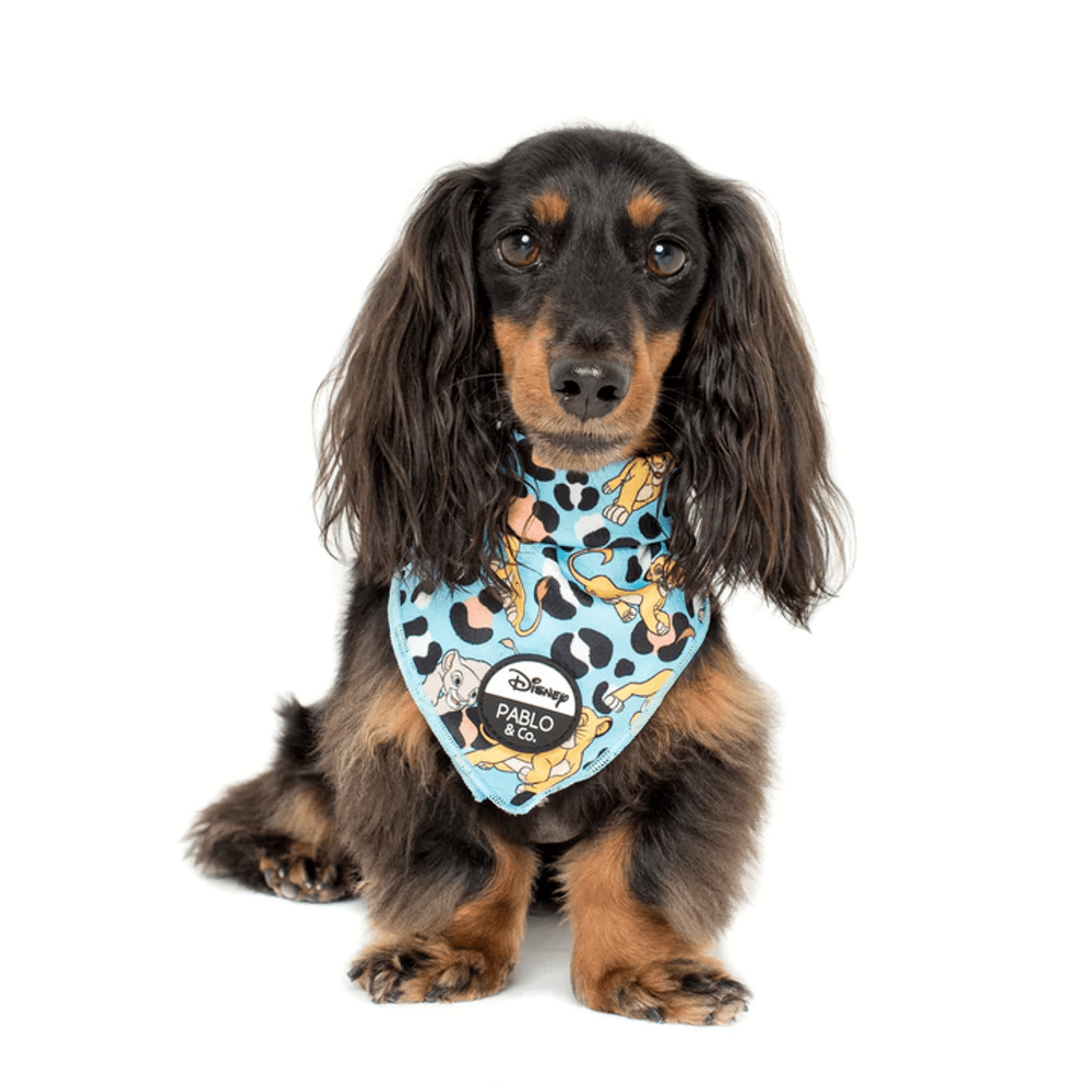 Pablo & Co The Lion King: Bandana - Bandanas from Pablo & Co Disney at DoggyTopia