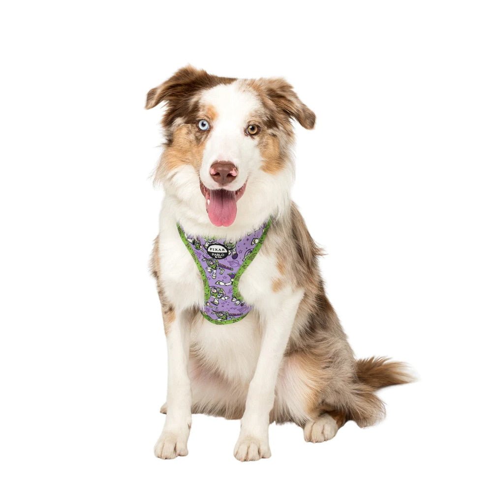 Pablo & Co Toy Story - Buzz Lightyear: Adjustable Harness - Adjustable Harnesses from Pablo & Co Disney at DoggyTopia