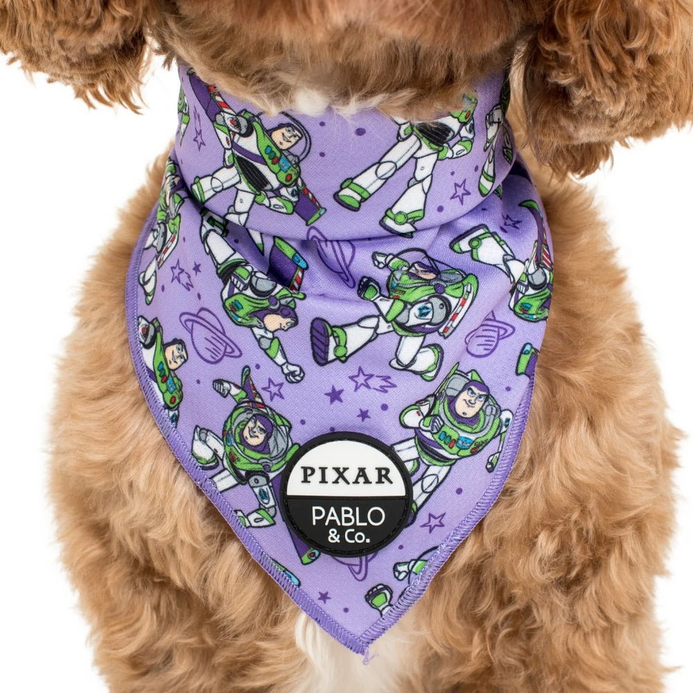 Pablo & Co Toy Story - Buzz Lightyear: Bandana - Bandanas from Pablo & Co Disney at DoggyTopia