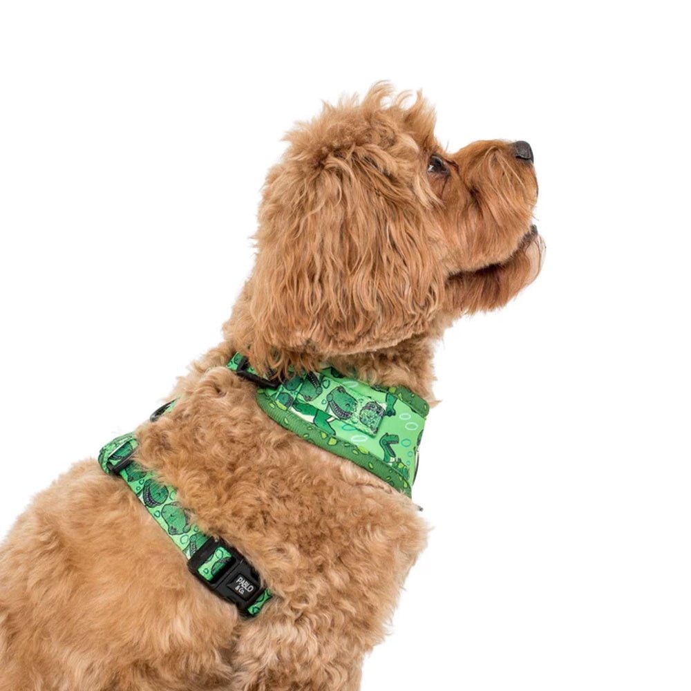 Pablo & Co Toy Story - Rex: Adjustable Harness - Adjustable Harnesses from Pablo & Co Disney at DoggyTopia