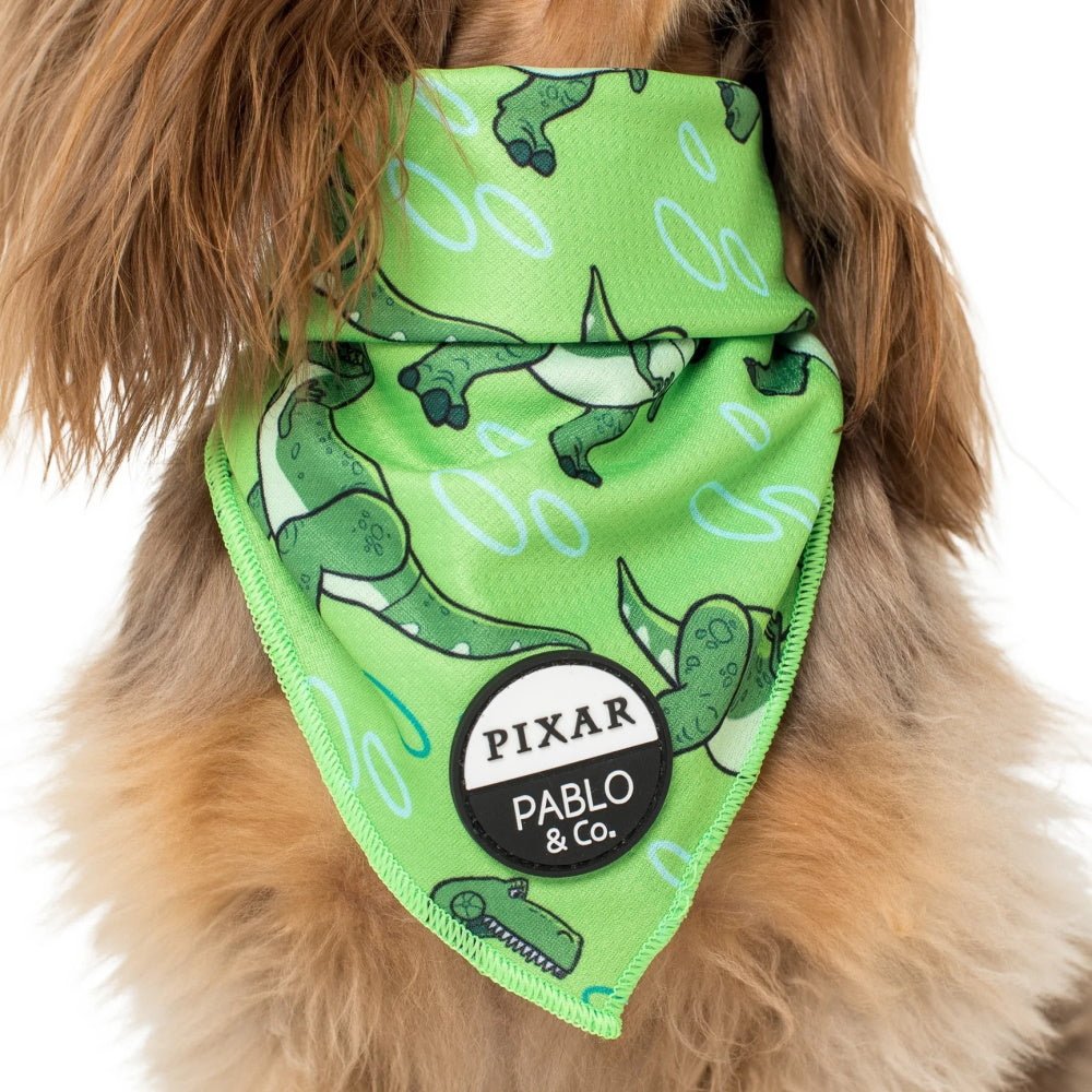 Pablo & Co Toy Story - Rex: Bandana - Bandanas from Pablo & Co Disney at DoggyTopia