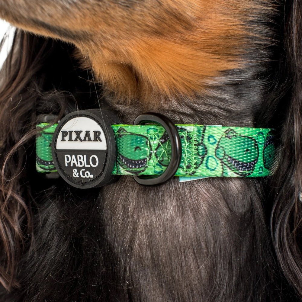 Pablo & Co Toy Story - Rex: Dog Collar - Collars from Pablo & Co Disney at DoggyTopia