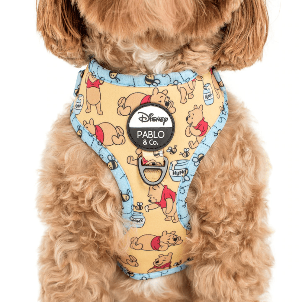 Pablo & Co Winnie the Pooh & Bee's: Adjustable Harness - Adjustable Harnesses from Pablo & Co Disney at DoggyTopia